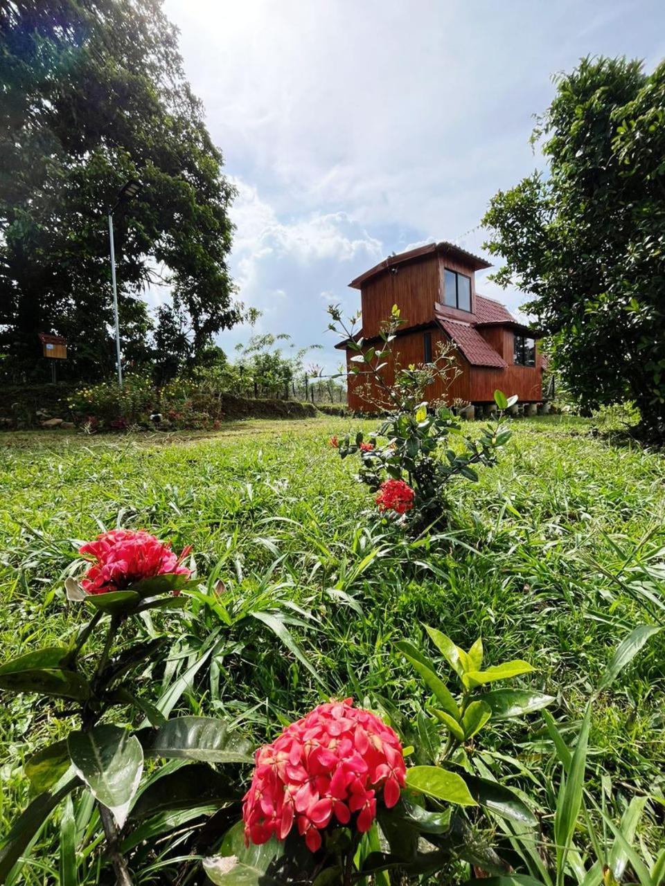 Myra Chalets Бихагуа Экстерьер фото